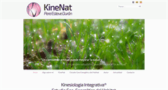Desktop Screenshot of kinenat.com